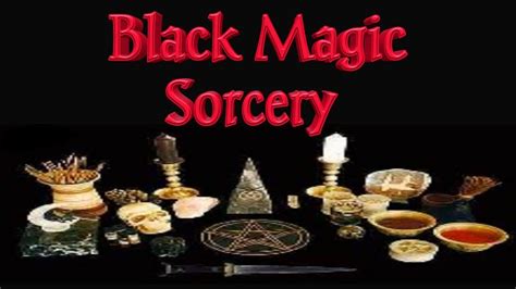 Hexed Kitties and Black Magic: An Exploration into the Occult World of Sorcery.